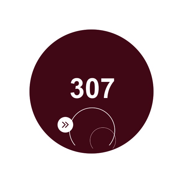 SoKwik - 307 - So Dip Powder (29g)