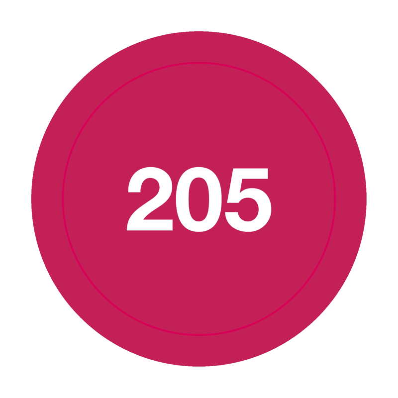 205