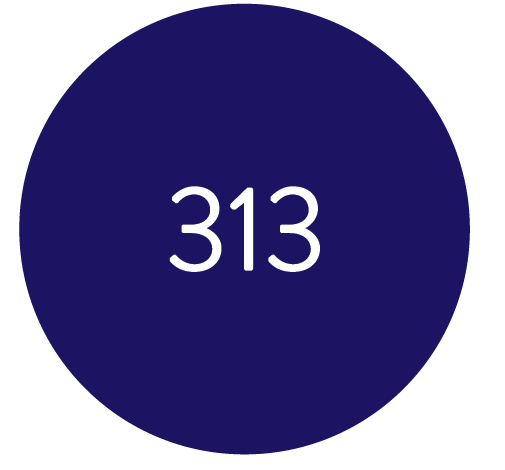 313